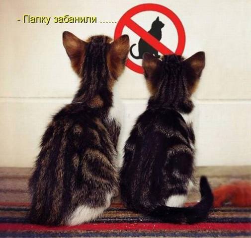 VFL.RU -  
