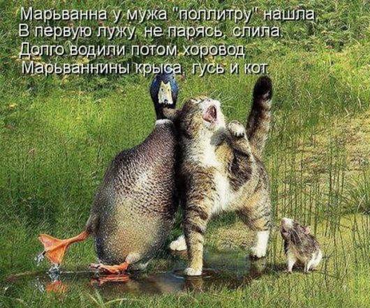 VFL.RU -  