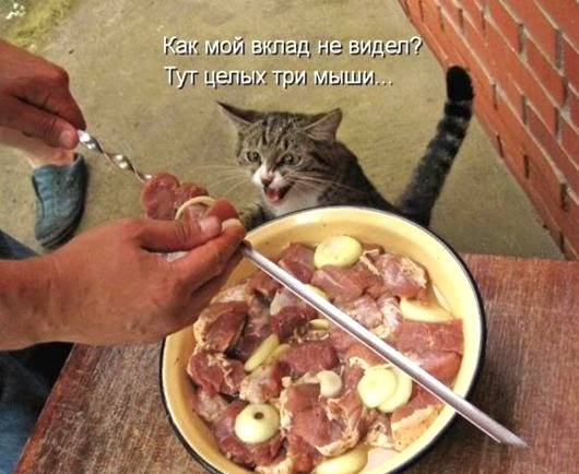 VFL.RU -  