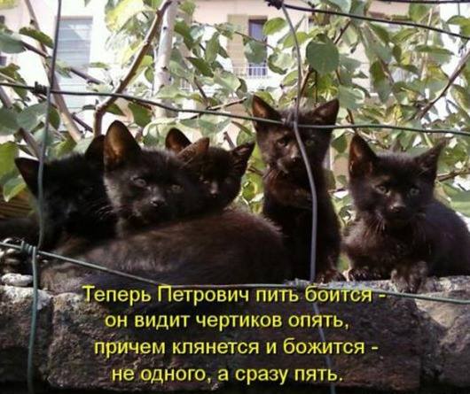 VFL.RU -  