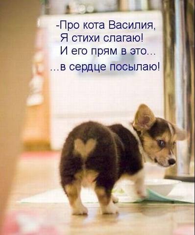 VFL.RU -  
