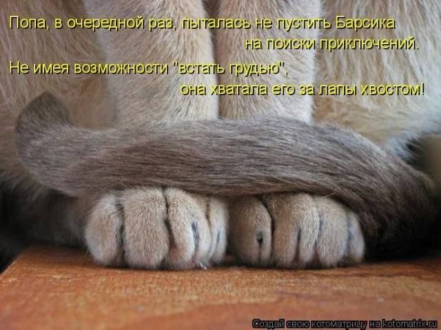 VFL.RU -  