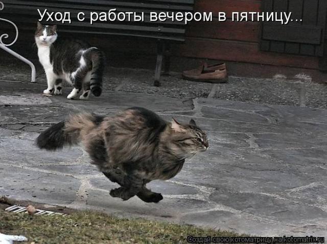 VFL.RU -  