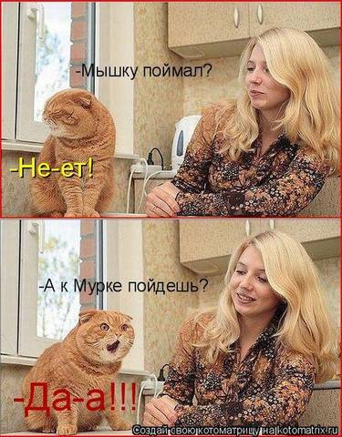 VFL.RU -  