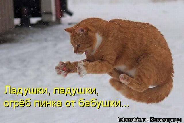 VFL.RU -  
