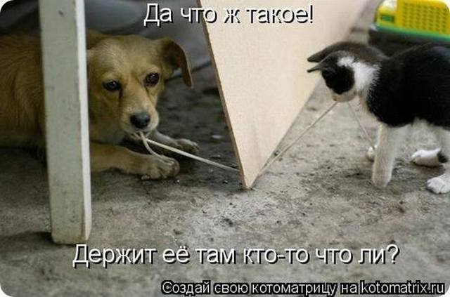VFL.RU -  