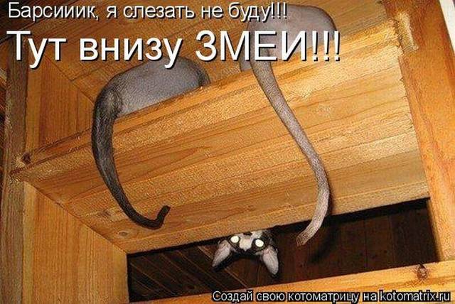 VFL.RU -  