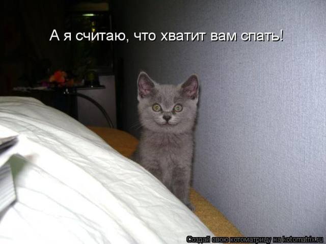VFL.RU -  