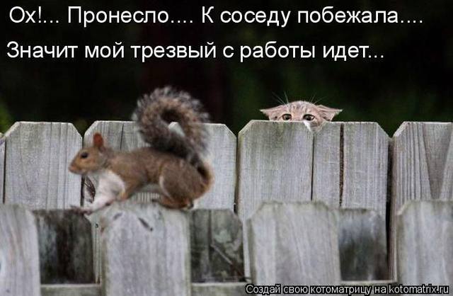 VFL.RU -  