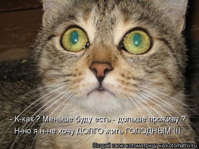 VFL.RU -  