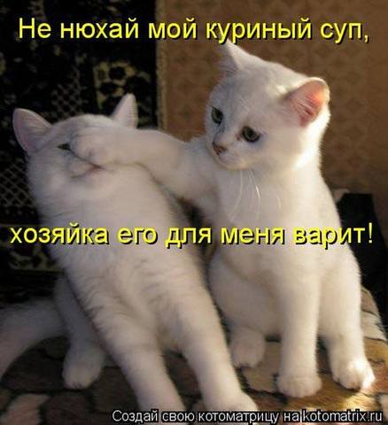 VFL.RU -  