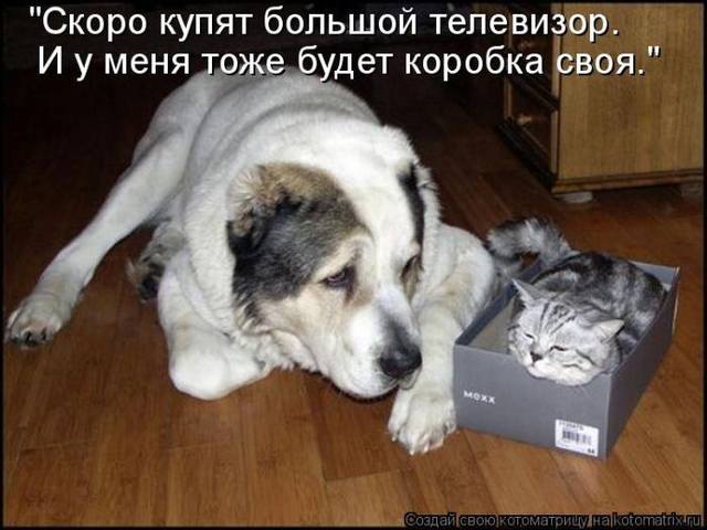 VFL.RU -  