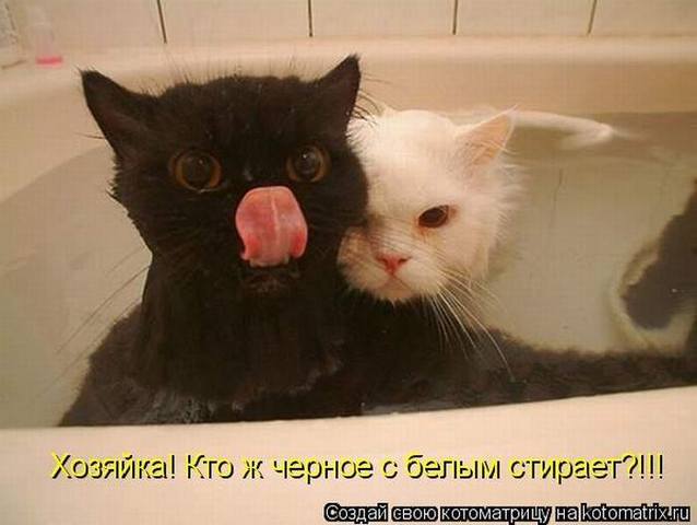 VFL.RU -  
