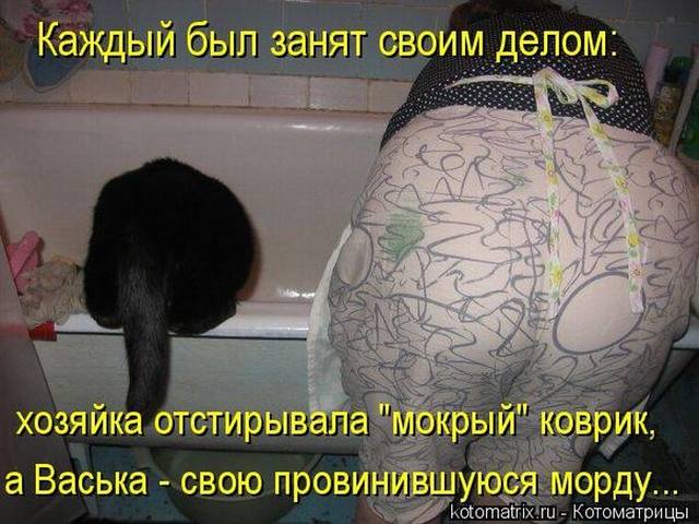 VFL.RU -  