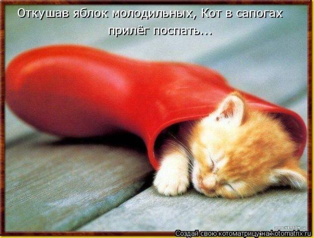 VFL.RU -  