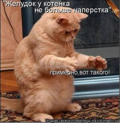 VFL.RU -  
