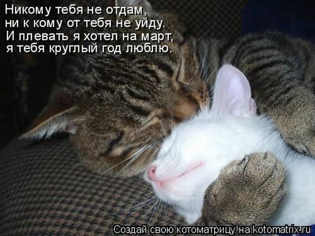 VFL.RU -  