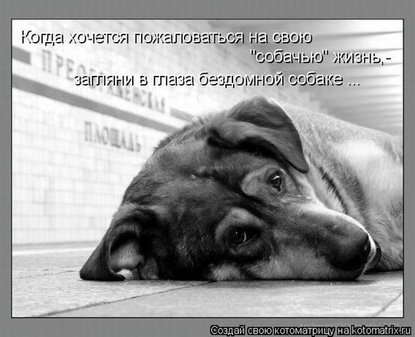 VFL.RU -  