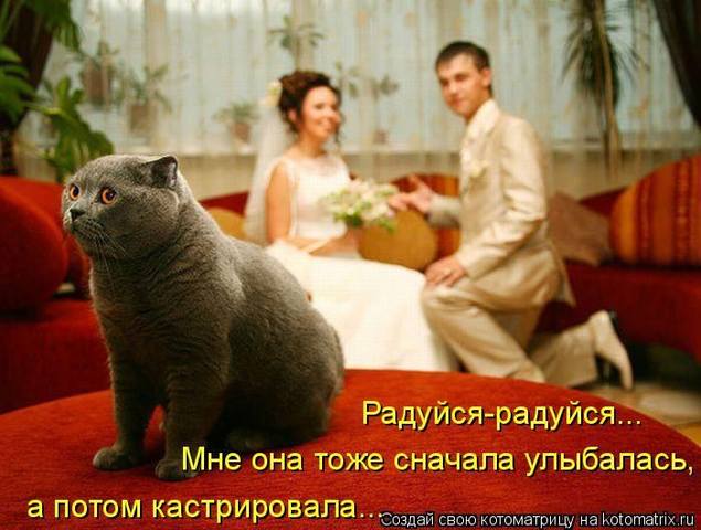 VFL.RU -  