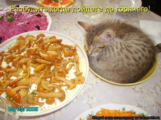 VFL.RU -  