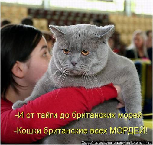 VFL.RU -  