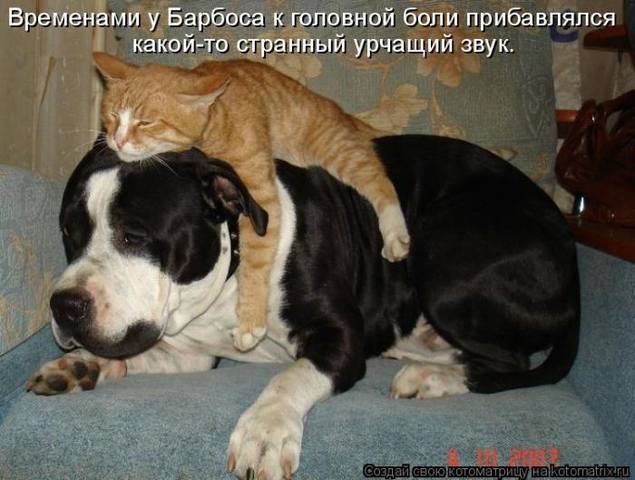 VFL.RU -  