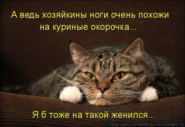 VFL.RU -  