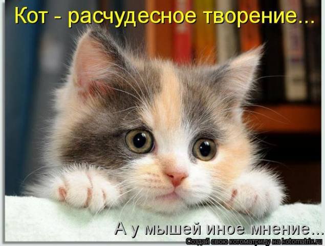VFL.RU -  