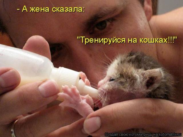 VFL.RU -  