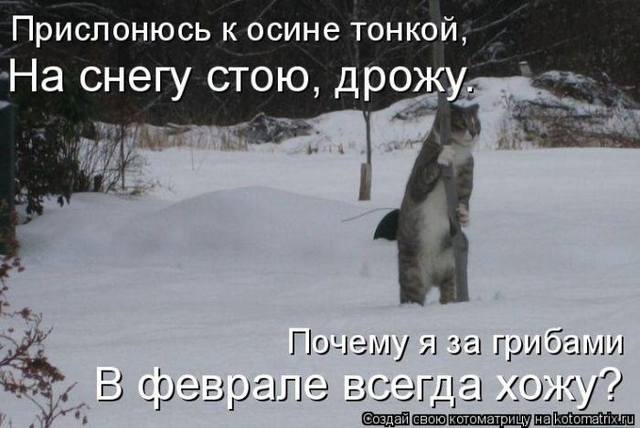 VFL.RU -  