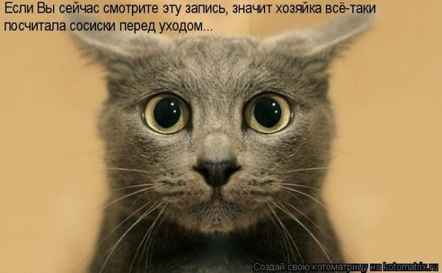 VFL.RU -  