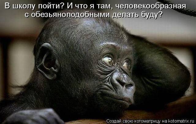 VFL.RU -  