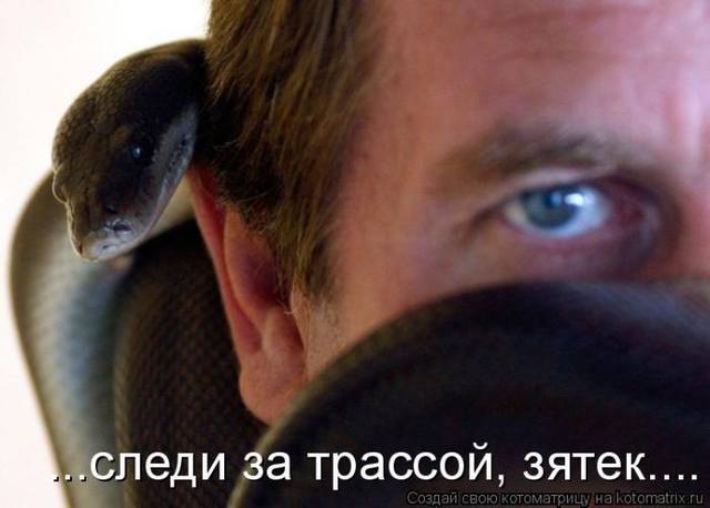 VFL.RU -  