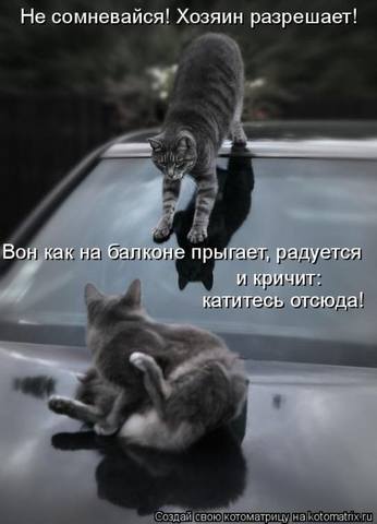 VFL.RU -  