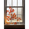 Autumn-Window-With-Oriental-Maple-36x26