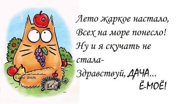 VFL.RU -  