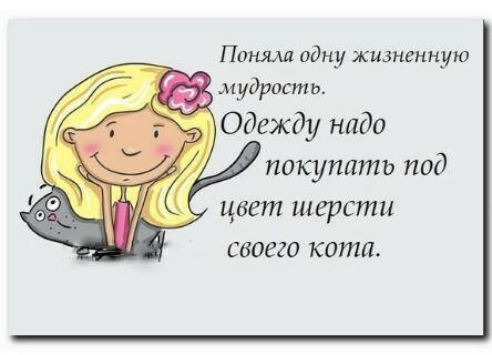 VFL.RU -  