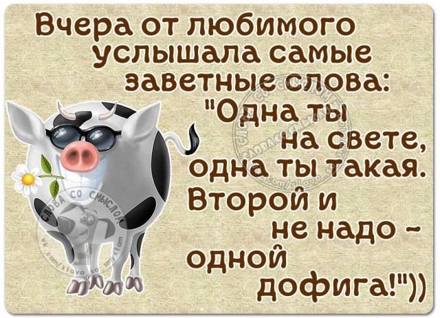 VFL.RU -  