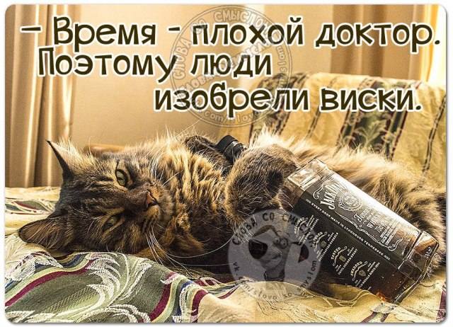 VFL.RU -  