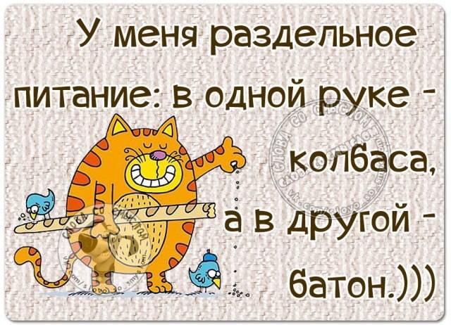 VFL.RU -  