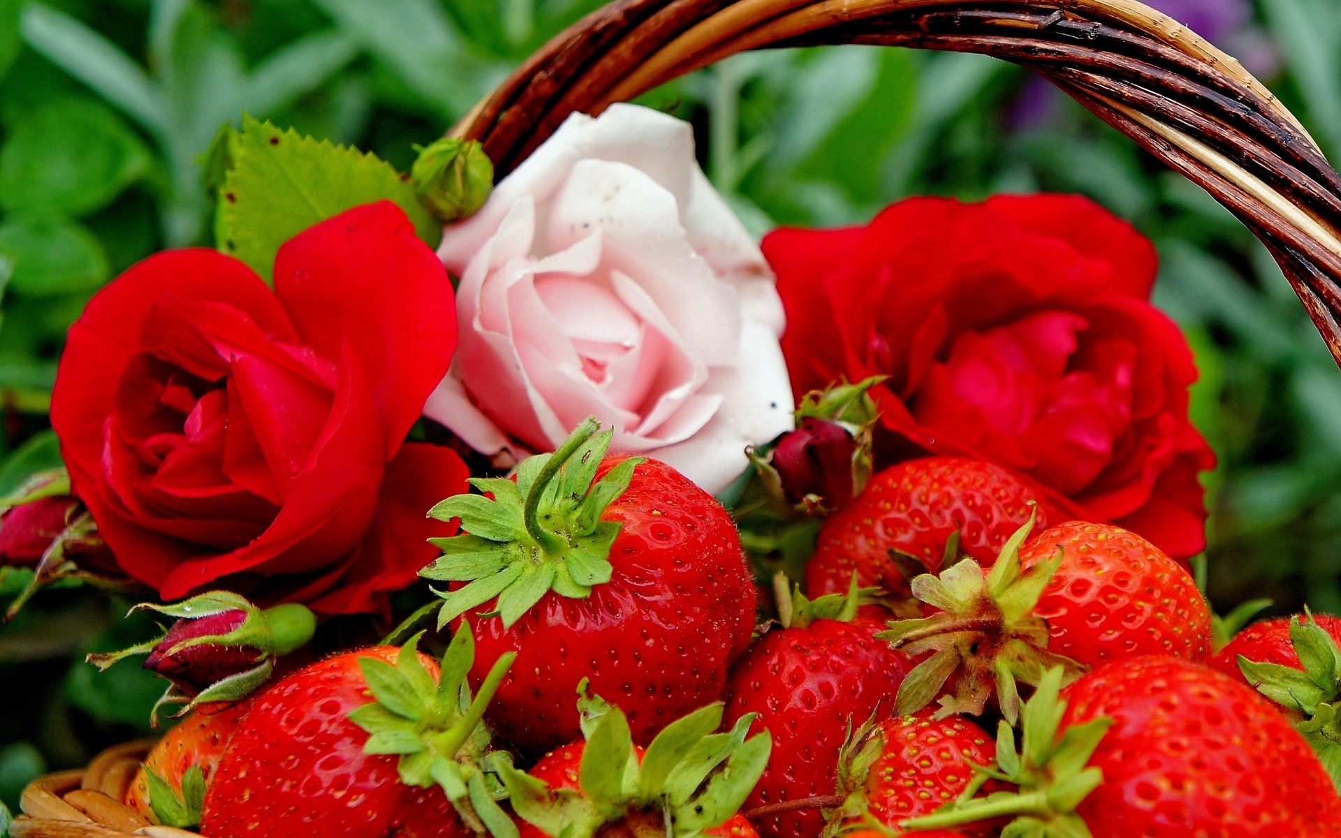 berries-strawberries-roses-flowers-buds-1920x1200