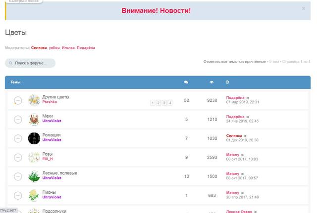Снимок