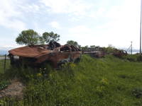 VFL.RU - ваш фотохостинг