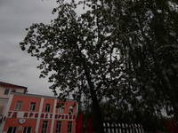VFL.RU - ваш фотохостинг