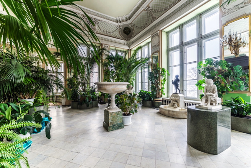 Зимний сад во дворце