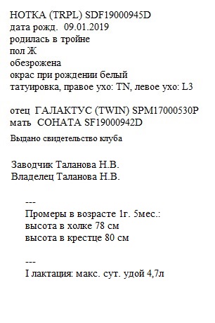 Нотка анк talanov2011