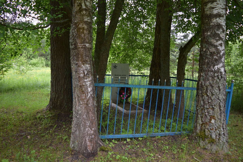 с. Журиничи - 2 (3)