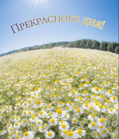 утро