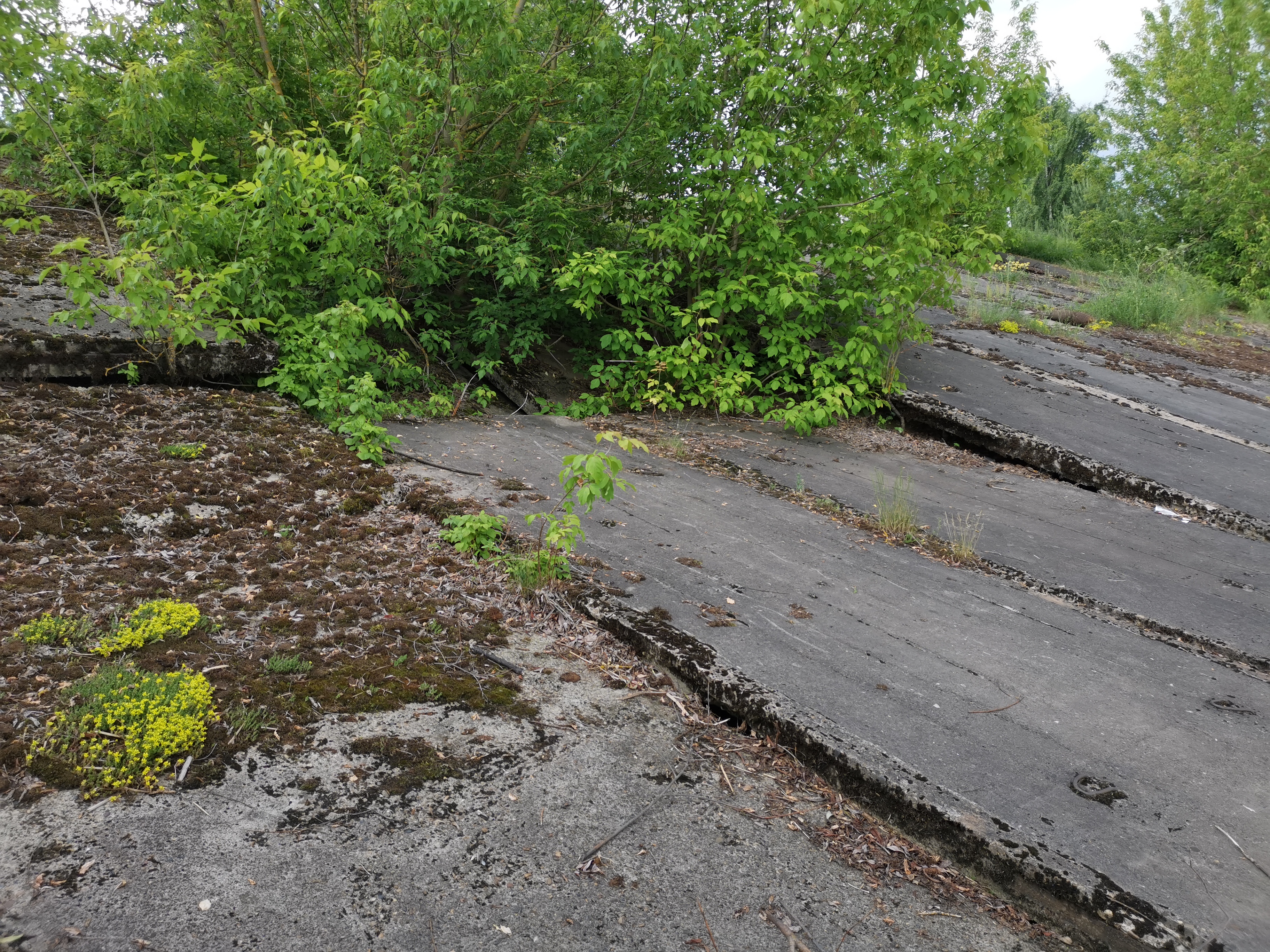 Пещера сухой лог геологов 2. Геолог,. Геологов 2а гтс. Сургут гтс гтс сургут. Геологов 2а гтс.