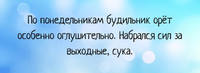 анекдот